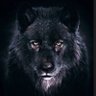 özer abay profil fotoğrafı