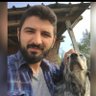 mahmut's profile picture