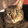 Profilbild von LME