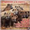 Preocupado por el devenir de nuestro querido país!'s profile picture