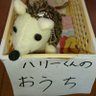 🐾🦔はりーまうす🐟👨🎓💡 的头像