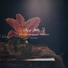 Фото профиля Shah_er99