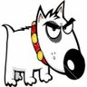 Profilbild von Bhayanak Puppy 🇮🇳🇵🇸