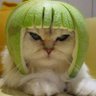 PTTR's profile picture
