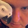 rrobertn 🇵🇱's profile picture