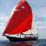 MeteHAN🇹🇷 profil fotoğrafı
