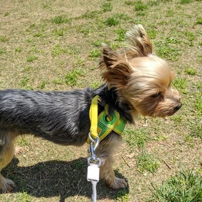さくら100%'s profile picture