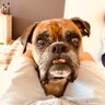 Profilbild von ObiBenKenobi