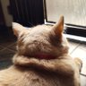 ร่างกรอบแกรบ's profile picture