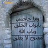محمد يوسف profil fotoğrafı