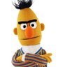 Profilbild von Betox