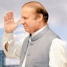 Rana Saqib Saeed's profile picture