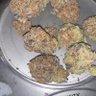 kushking 的头像