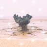 Profilbild von 寿吏感