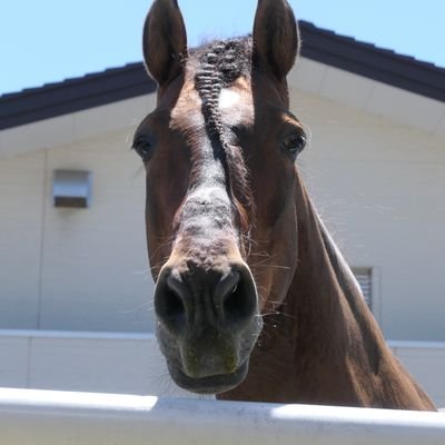 Tezo39919290's profile picture