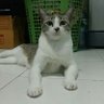 สะพายบ้องท่องโลก profil fotoğrafı