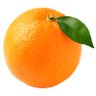 Daystream's profile picture