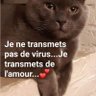 LILIS's profile picture