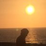 LosMachakilas profil fotoğrafı