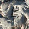 Phila profil fotoğrafı