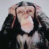 ﾊﾘﾊﾘ- profil fotoğrafı