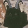 OddTechnology91's profile picture