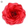 Profilbild von Kely Costa🌹