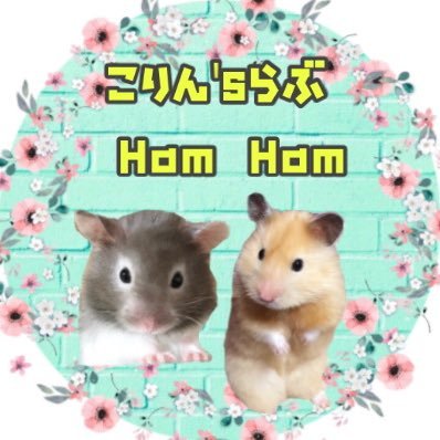 こりん's profile picture