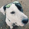 Ray profil fotoğrafı