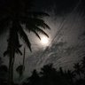 Rahul C kishore's profile picture