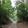 Фото профиля 浪迹天涯
