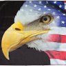 Patriot Freedom Eagle 的头像