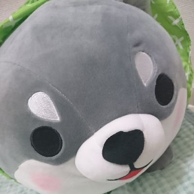 Lifept0's profile picture