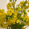 Фото профиля miyu miyu
