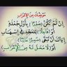 Profilbild von أُغردُبصمتٍ