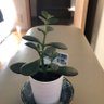 Фото профиля 愚痴だらけ