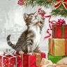 やんやん profil fotoğrafı