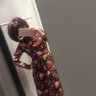 andiwilllookup's profile picture