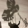 Фото профиля にゃお