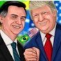 BolsoMito380's profile picture