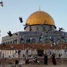 عبدالله's profile picture
