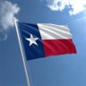 texanconstitutionalist profil fotoğrafı