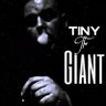 TinyTheGiant 的头像