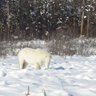 Фото профиля ЮгоСеверныйОкеан