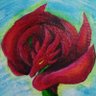 rosedragon 的头像