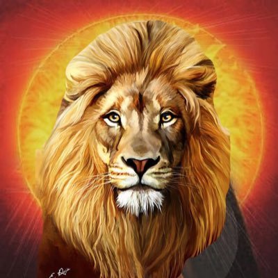 100TV8's profile picture