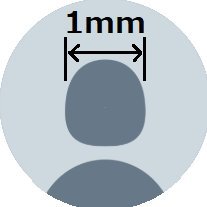 Takeshi Maeda's profile picture