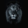 Profilbild von LConquistador