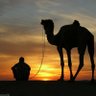 Profilbild von Levantine Nomad