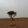 عبد المحسن الجابري profil fotoğrafı